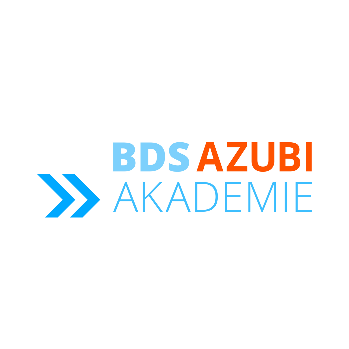 Logo BDS AZUBIAKADEMIE